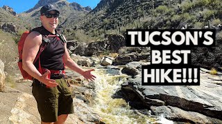 Tucson Arizonas BEST HIKE Sabino Canyon  Seven Falls Trail [upl. by Hcardahs]