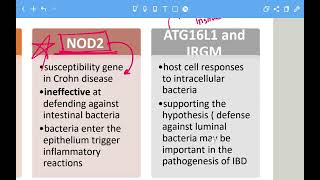 Gi Pathology lec 6 part 1 inflammatory bowel disease [upl. by Hannis445]