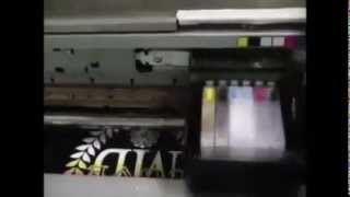 Imprimanta pentru tricouri  Printer de textile SL2300TX cu cerneala alba [upl. by Ahsenom]