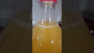 Making Apple Cider  Fermentation with Lalvin EC1118 Yeast [upl. by Farrison]