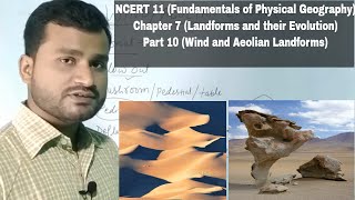 Fundamentals of Physical Geography NCERT 11  Chapter 7  Part 10  Wind and Aeolian Landforms [upl. by Emmett]