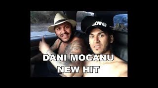 Dani Mocanu  Sefa sefelor  Official Audio [upl. by Aronek]