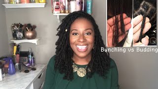 Loc Budding vs Bunching [upl. by Ellinehc]