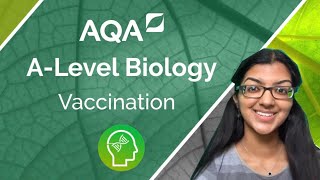 AQA A Level Biology Types of Immunity and Vaccination [upl. by Ricker]