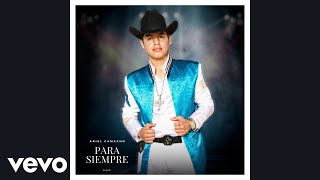 Ariel Camacho  Te Metiste Audio [upl. by Nirrad]