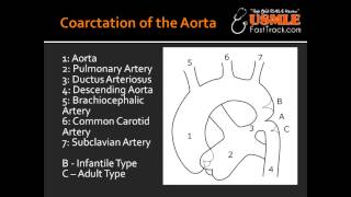 Coarctation of the Aorta  Infantile type amp Adult type [upl. by Burke563]