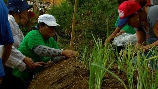 Cómo implementar un Sistema de Agroecología  TvAgro por Juan Gonzalo Angel [upl. by Atinot884]