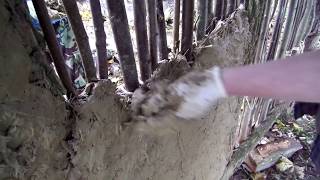 Wattle and Daubing the wall in our Saxon Hovel [upl. by Rudwik]