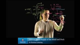 Arterial blood supply of the Head and Neck [upl. by Sheets616]