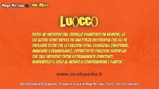 LUOCCU dal dizionario Siculopedia [upl. by Romy7]