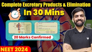 🔥 Excretory Products amp Elimination One shot  30 minutes Series 20 marks guaranteed  NEET  Anmol [upl. by Anahcar]