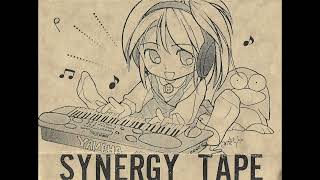 In the Nation 「SYNERGY TAPE」 [upl. by Hcib]