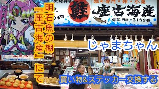 じゃまちゃん（明石魚の棚『座古海産』にて買い物ampステッカー交換する） [upl. by Sucul]