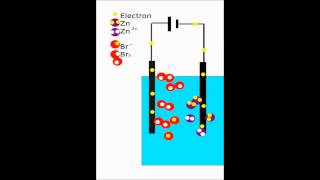 Electrolysis animation ZnBr2 [upl. by Ihcego338]