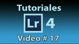 Tutorial Lightroom 41 Español ¿Donde se encuentran los Metadatos liclonny [upl. by Uok]