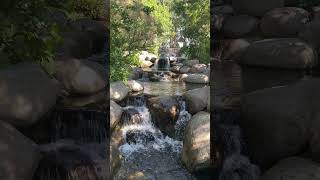 Downtown Kelowna Canada along the boardwalk kelowna canada waterfall [upl. by Osman]