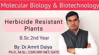 Herbicide Resistant Plants खरपतवारनाशी रोधी पादपHindi amp English BSc By DrAmrit Daiya [upl. by Nalepka]