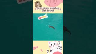 Cute otter catches fish to eat [upl. by Nezam]