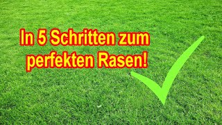 Rasenpflege  In 5 Schritten zum perfekten Rasen – Rasenkur für einen schönen grünen dichten Rasen [upl. by Aruon746]