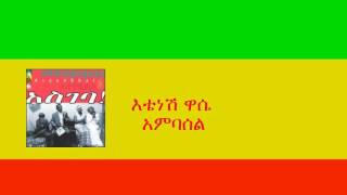 እቴነሽ ዋሴ  አምባሰል Etenesh Wassie  Ambassel [upl. by Assillim]