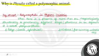 Why is Physalia called a polymorphic animal W [upl. by Einimod59]