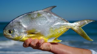 Most VALUABLE Fish at the Beach Catch Clean Cook Beach Pompano Fishing [upl. by Nemsaj]