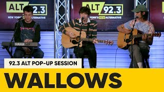 Wallows  Remember When [upl. by Sible]