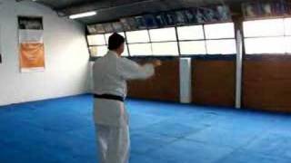 Uechi Ryu  Kanshu  Kata [upl. by Gladys]