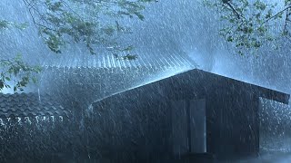 Quality Sleep with Powerful Rainstorm Sounds amp Thunder Shaking on Fragile tin roof in Dark Forest [upl. by Winther729]