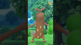 Pokémon Shorts  Pokémon HideAndSeek  PokemonFunVideo PokemonKidsTV​ [upl. by Eleazar353]