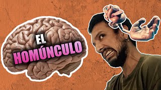 El CUERPO VIRTUAL‼️ El HOMÚNCULO SOMATOSENSORIAL de PENFIELD 🧠 NEUROCIENCIA DEL DOLOR ⚠️ [upl. by Nwahsuq75]