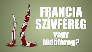 Francia szívféreg  csak egyszerűen [upl. by Anileuqcaj863]