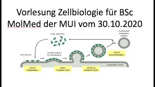 Recorded lecture for MolMed students BSC Medical University of Innsbruck [upl. by Ollehto413]