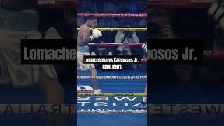 Vasiliy Lomachenko vs George Kambosos Jr  Full Fight Highlights [upl. by Eatton]