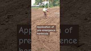 Application of preemergence herbicide agriculture preemergence [upl. by Kcirdahc708]