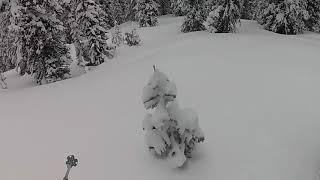 Black Prince Powder Skiing [upl. by Claudy]