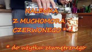 DARY LASU  Nalewka z MUCHOMORA CZERWONEGO  amanita muscaria   do użytku zewnętrznego [upl. by Nevear]