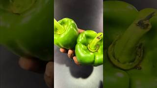 இதுல இப்படி ஒரு ரகசியமா  🔥 Selecting Capsicum Like a Pro capsicum bellpeppers cooking [upl. by Yssak]