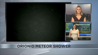 How to watch the Orionid meteor shower debris from Halley’s comet [upl. by Ilime592]