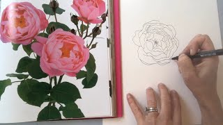 Art Studio Chat  All Things Roses [upl. by Wolff]