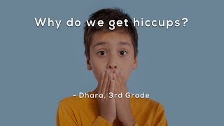 Why do we get hiccups [upl. by Ittap]