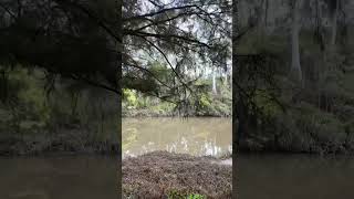 Warrandyte State Park  VIC Australia park lake river camping hike asmr relax outback [upl. by Maury329]