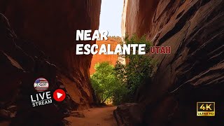 🔴 ESCALANTE Utah 4K Ultra HD Scenic Relaxation Film with Music 432HZ by Isyssiprod ‪isyssiprod‬ [upl. by Tur]