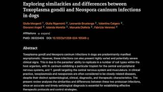 Similarities and differences between Toxoplasma gondii and Neospora caninum infections in dogs [upl. by Nalorac]