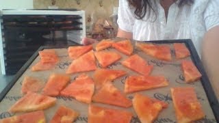 Dehydrated watermelon with stephanie at EfoodDehydratorcom [upl. by Furgeson564]