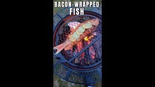 BaconWrapped Whole Fish Cooked over Open Fire shorts [upl. by Luht]