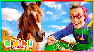 Découvrons le Monde des Chevaux  Vidéos Educatives pour Enfants  Kidibli [upl. by Irrac]