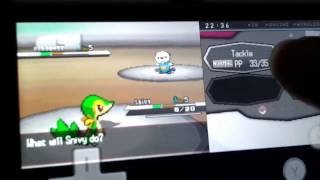 Pokemon Black NDS on Android Full Speed 100 Xperia SP  Drastic Emulator [upl. by Torre]