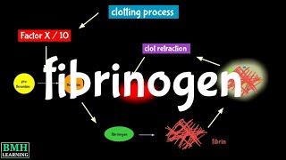 Fibrinogen  Factor I  Fibrin [upl. by Arikaahs]