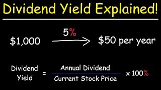 The Dividend Yield  Basic Overview [upl. by Yeznil]